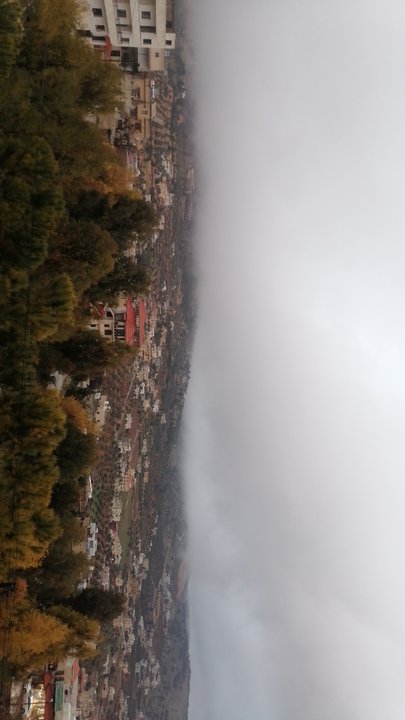 مشاركاتي في أنت الراصد