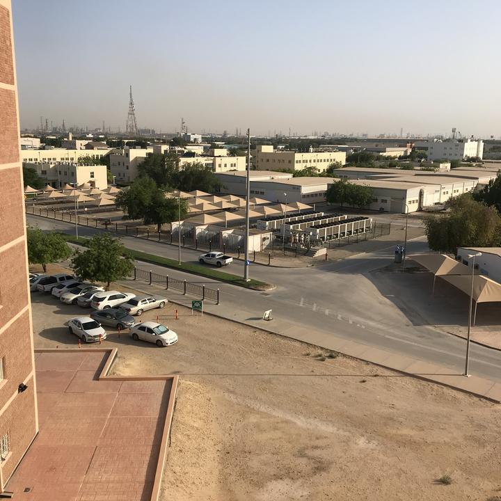 مشاركاتي في أنت الراصد