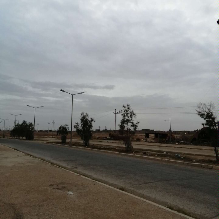 مشاركاتي في أنت الراصد