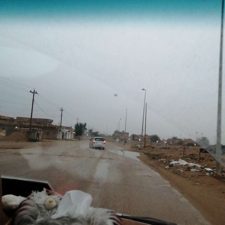 مشاركاتي في أنت الراصد