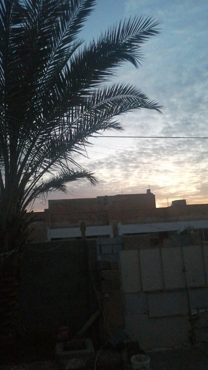 مشاركاتي في أنت الراصد