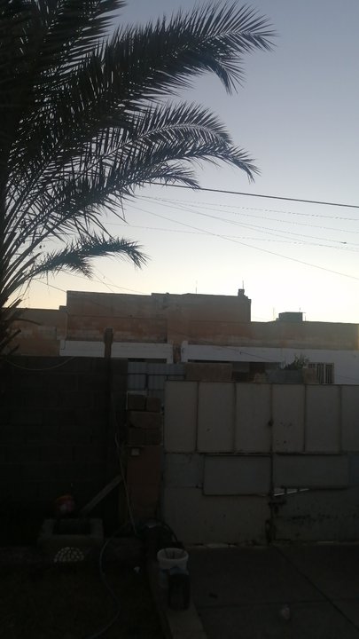 مشاركاتي في أنت الراصد