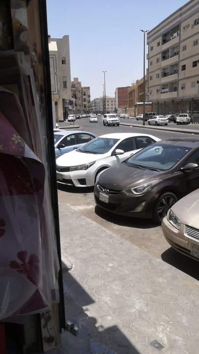 مشاركاتي في أنت الراصد