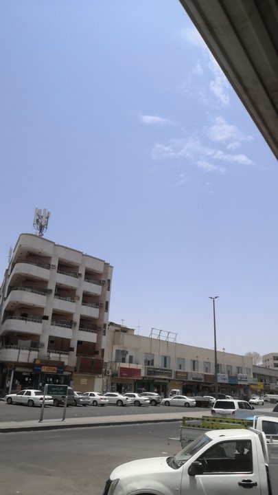 مشاركاتي في أنت الراصد