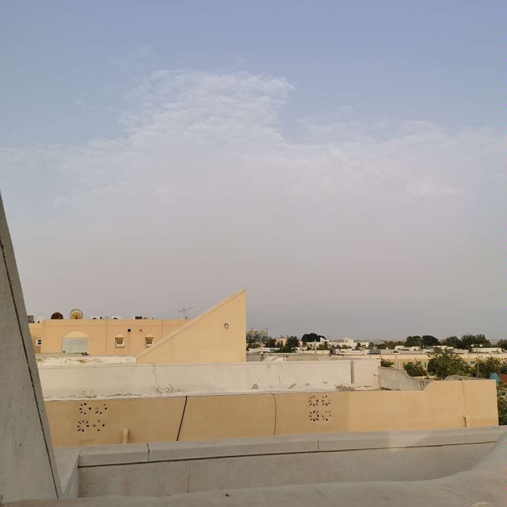 مشاركاتي في أنت الراصد