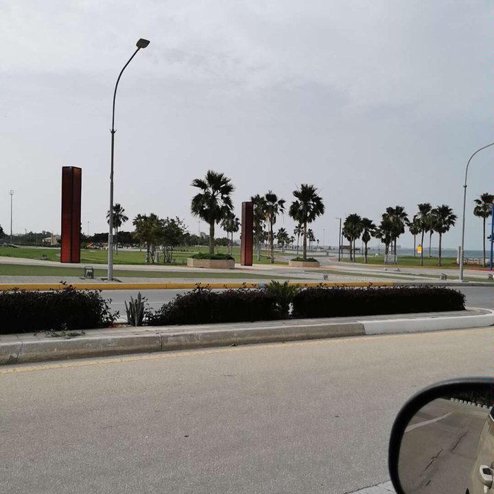 مشاركاتي في أنت الراصد