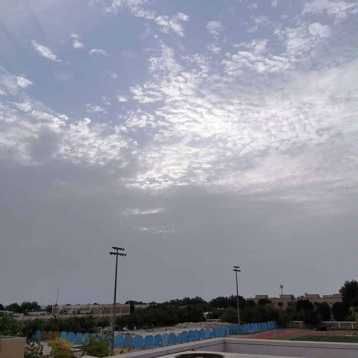 مشاركاتي في أنت الراصد