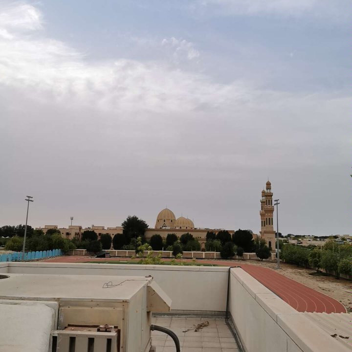 مشاركاتي في أنت الراصد