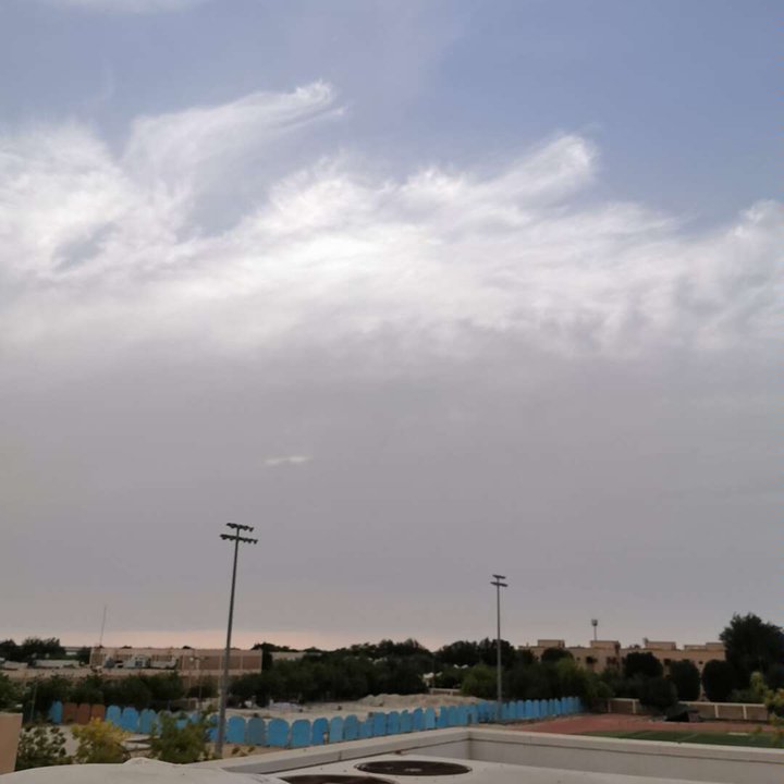 مشاركاتي في أنت الراصد