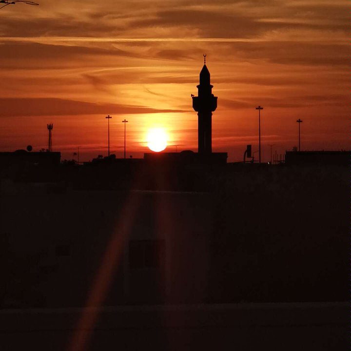 مشاركاتي في أنت الراصد