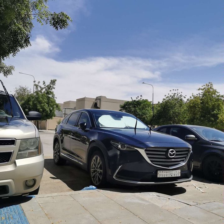 مشاركاتي في أنت الراصد