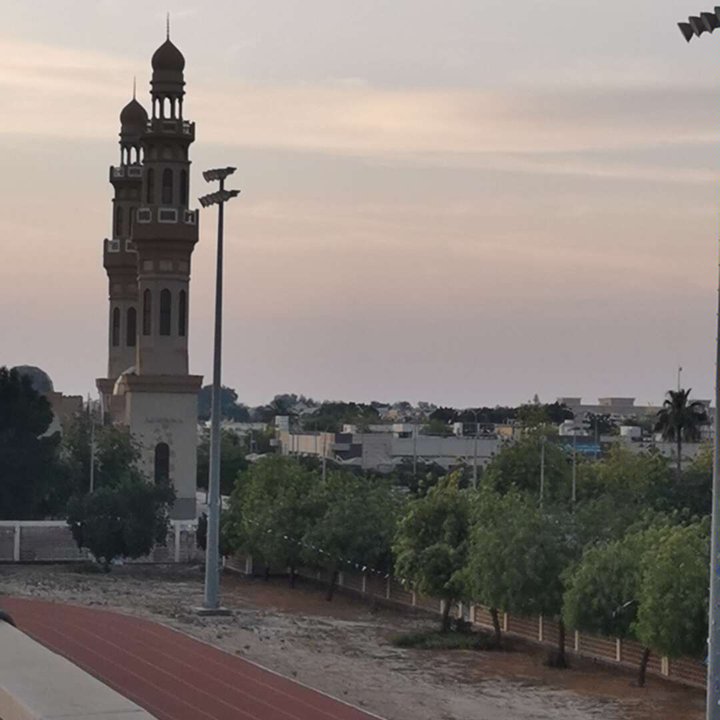 مشاركاتي في أنت الراصد