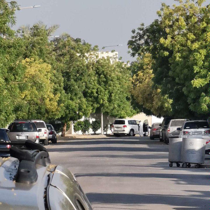 مشاركاتي في أنت الراصد