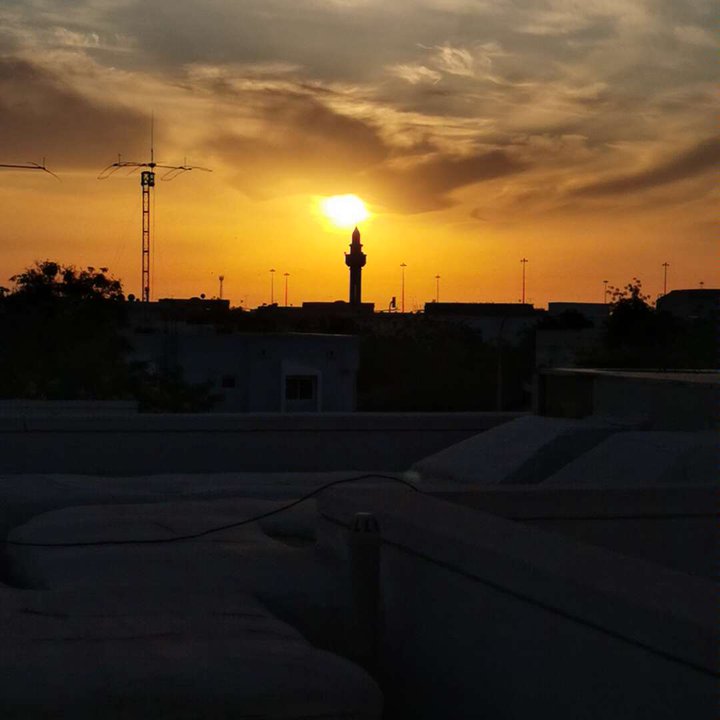 مشاركاتي في أنت الراصد