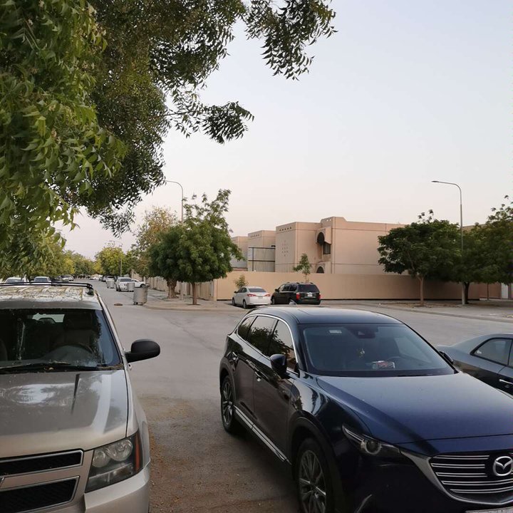 مشاركاتي في أنت الراصد