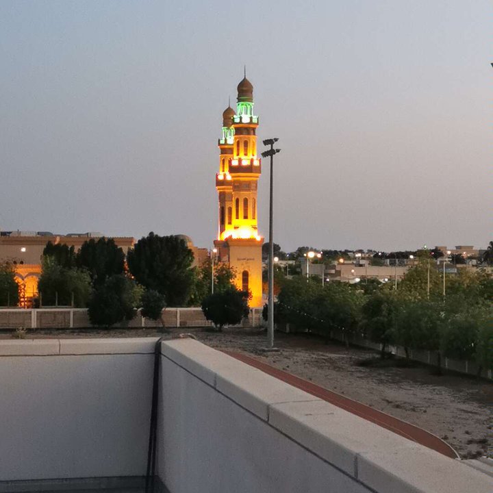 مشاركاتي في أنت الراصد