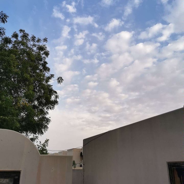 مشاركاتي في أنت الراصد