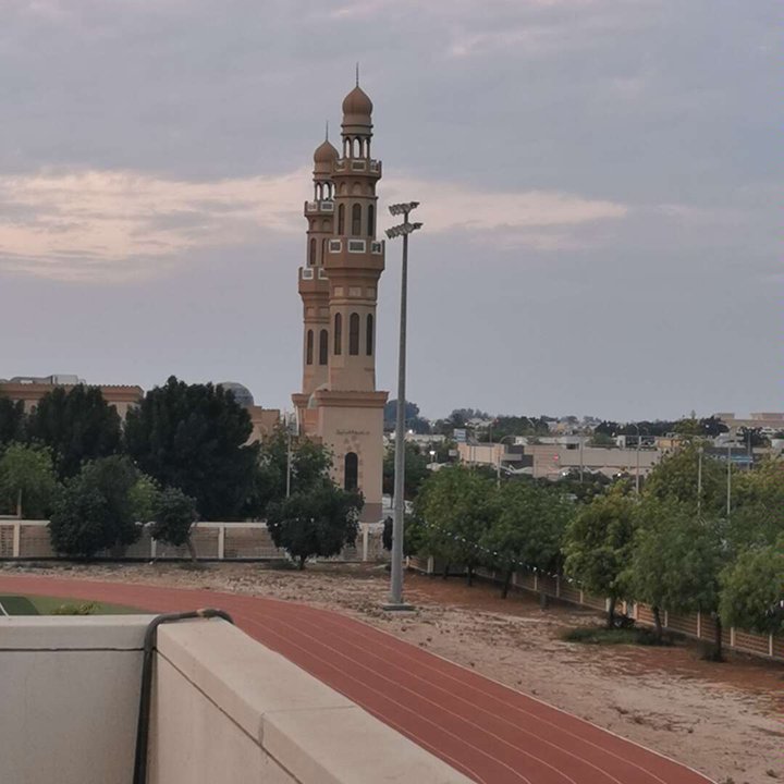 مشاركاتي في أنت الراصد