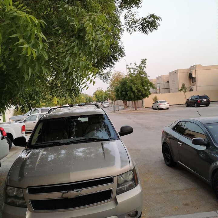 مشاركاتي في أنت الراصد