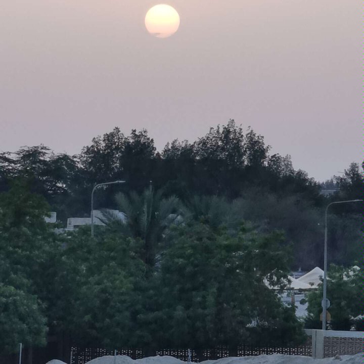 مشاركاتي في أنت الراصد