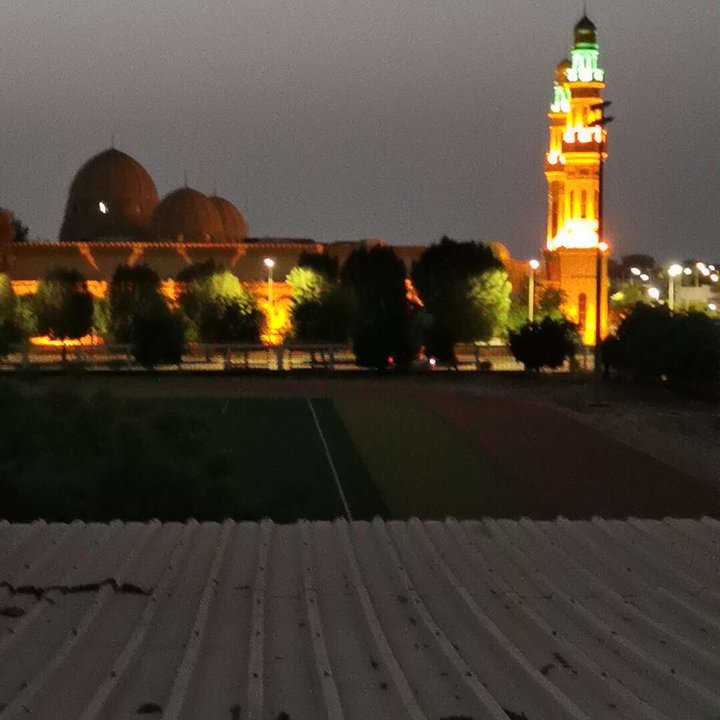 مشاركاتي في أنت الراصد