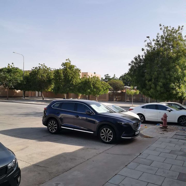 مشاركاتي في أنت الراصد