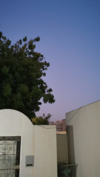 مشاركاتي في أنت الراصد