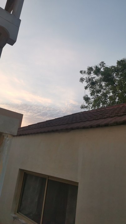 مشاركاتي في أنت الراصد