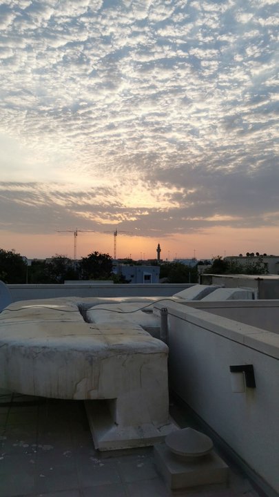 مشاركاتي في أنت الراصد