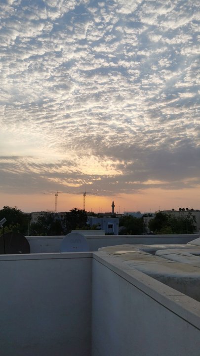 مشاركاتي في أنت الراصد