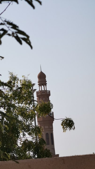 مشاركاتي في أنت الراصد