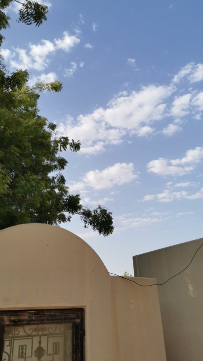 مشاركاتي في أنت الراصد