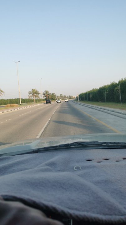 مشاركاتي في أنت الراصد