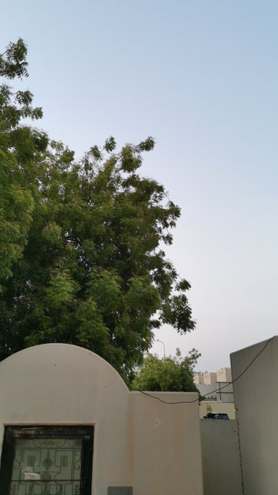 مشاركاتي في أنت الراصد