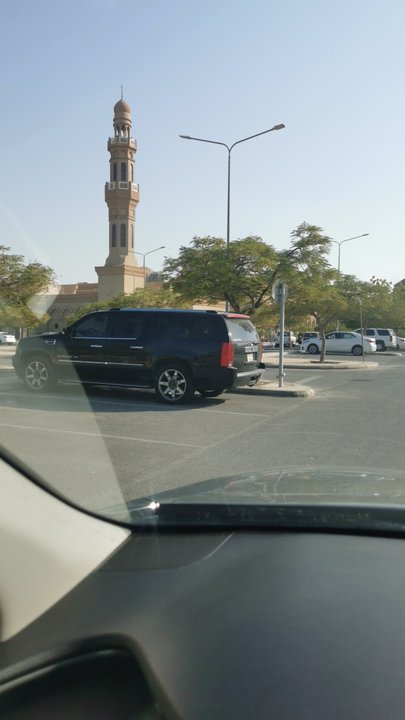 مشاركاتي في أنت الراصد