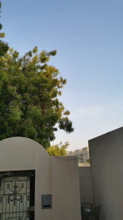 مشاركاتي في أنت الراصد