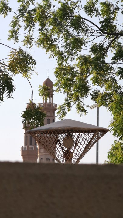 مشاركاتي في أنت الراصد