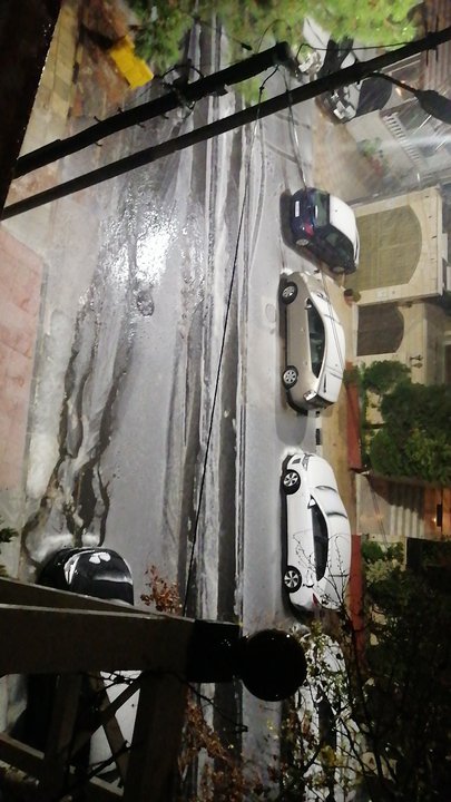 مشاركاتي في أنت الراصد