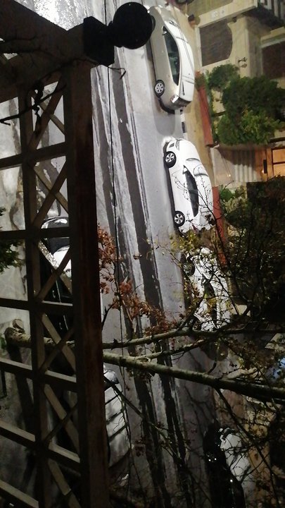 مشاركاتي في أنت الراصد