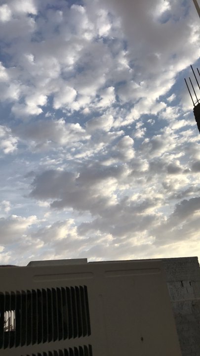 مشاركاتي في أنت الراصد