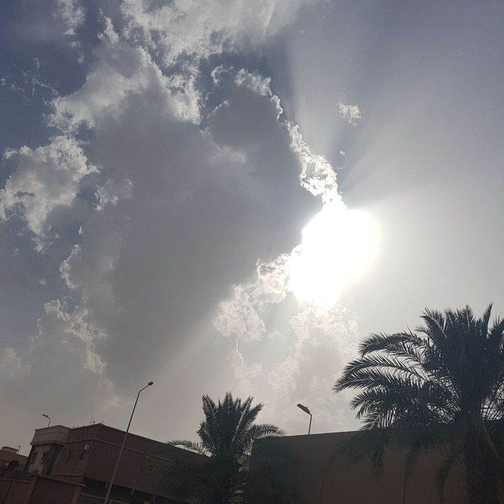 مشاركاتي في أنت الراصد