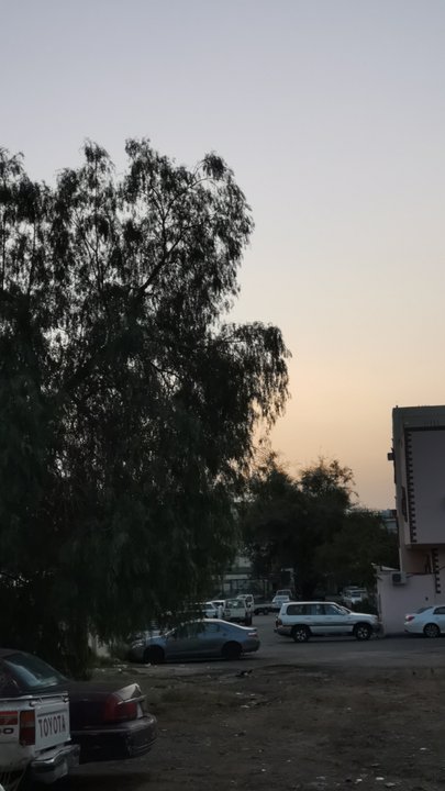 مشاركاتي في أنت الراصد