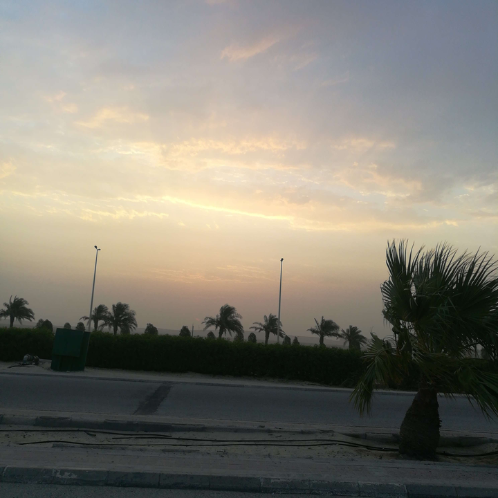 مشاركاتي في أنت الراصد