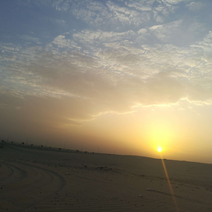 مشاركاتي في أنت الراصد