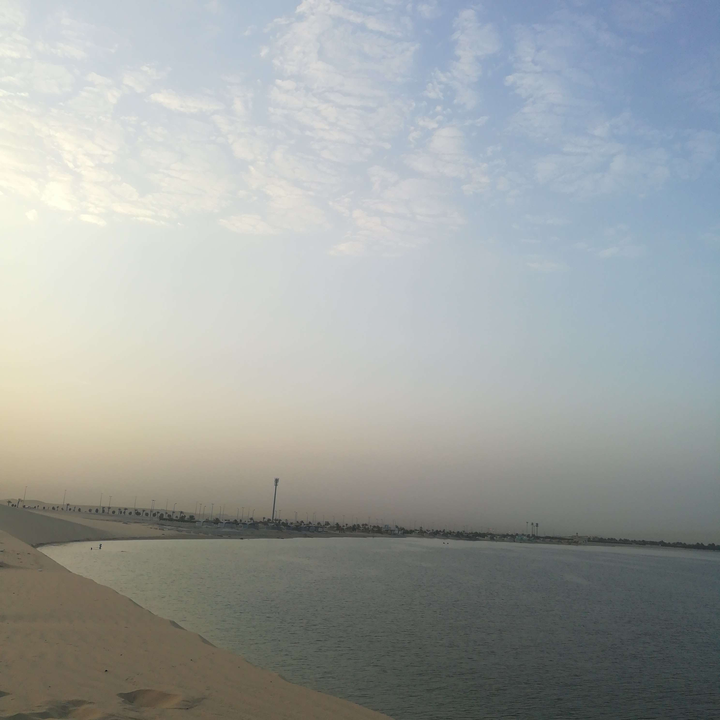 مشاركاتي في أنت الراصد