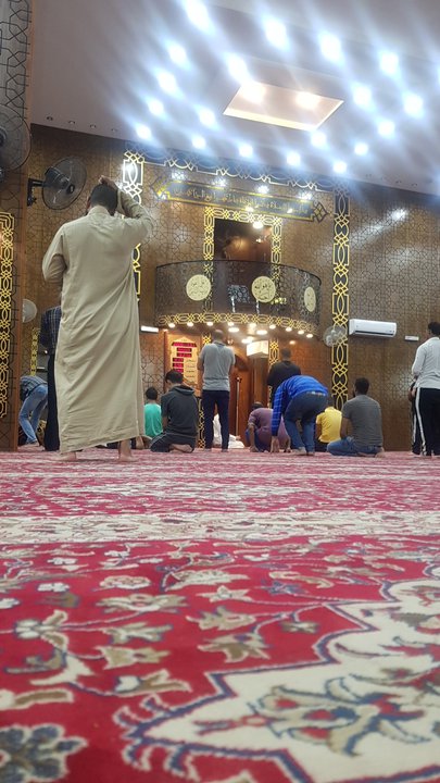 مشاركاتي في أنت الراصد