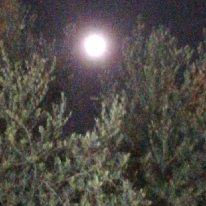 My Crowdsourcing Posts