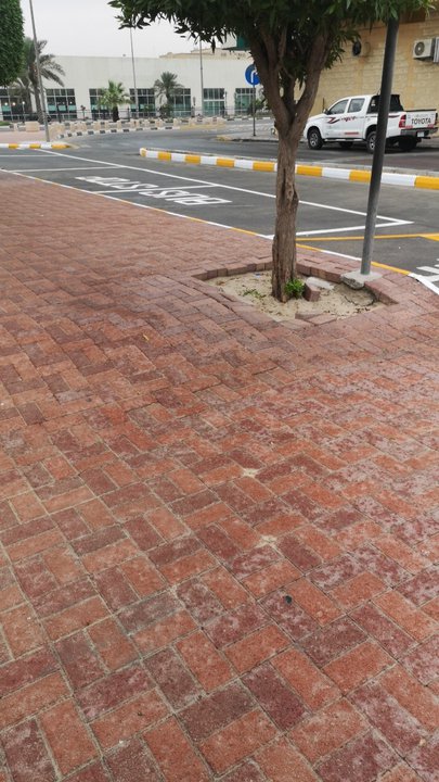 مشاركاتي في أنت الراصد