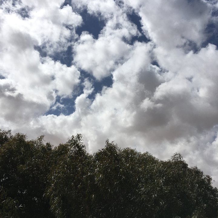 مشاركاتي في أنت الراصد