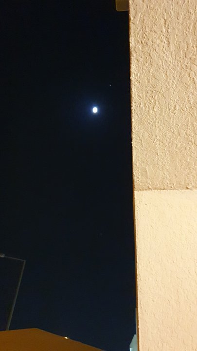 مشاركاتي في أنت الراصد